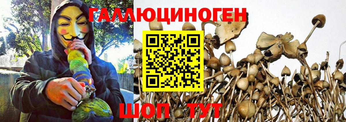 Котельники  Галлюциногенные грибы ЛСД  Вход с VPN 