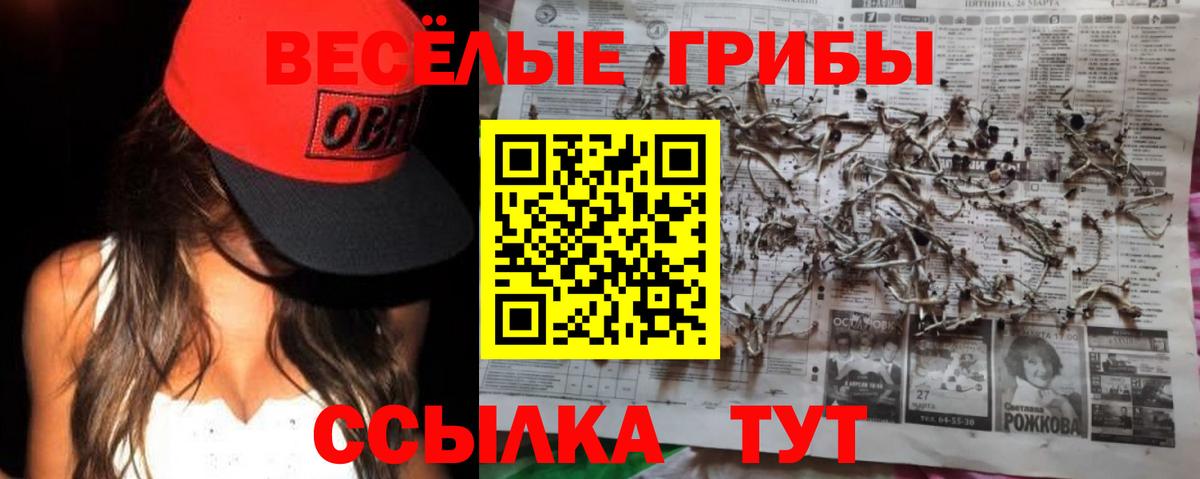 Псилоцибиновые грибы Cubensis Котельники
